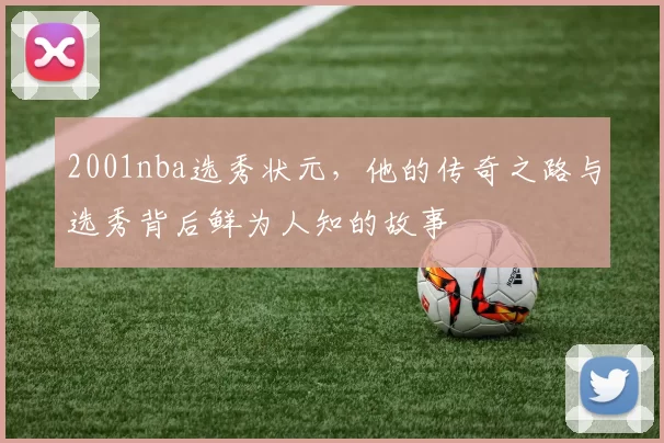 2001nba选秀状元，他的传奇之路与选秀背后鲜为人知的故事