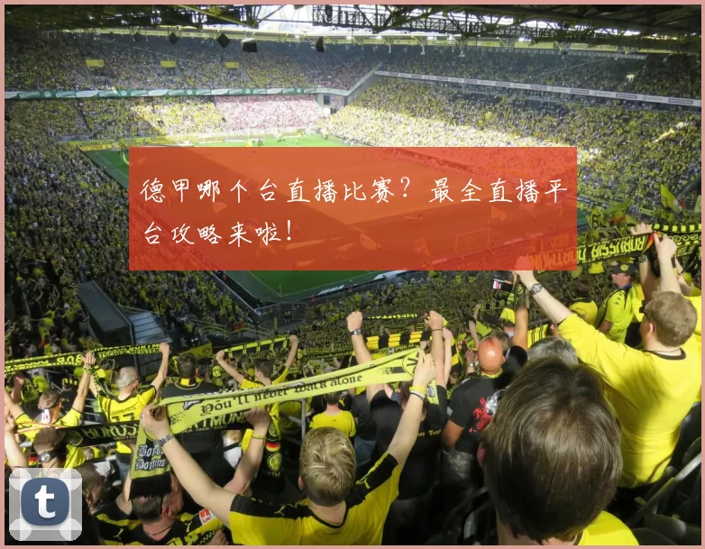 德甲哪个台直播比赛?最全直播平台攻略来啦!