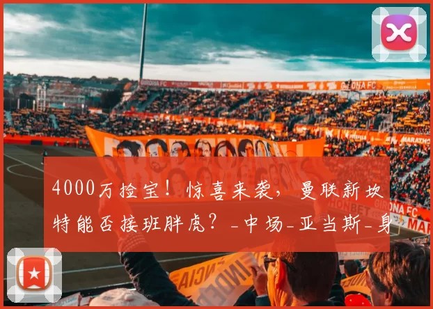 4000万捡宝！惊喜来袭，曼联新坎特能否接班胖虎？_中场_亚当斯_身价