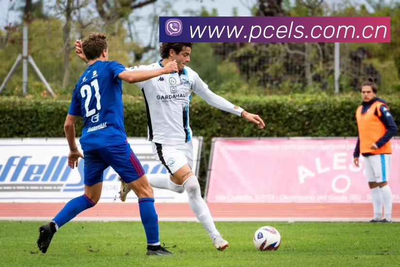 开云(中国)Kaiyun·官方网站 - 登录入口APP 高清赛事图